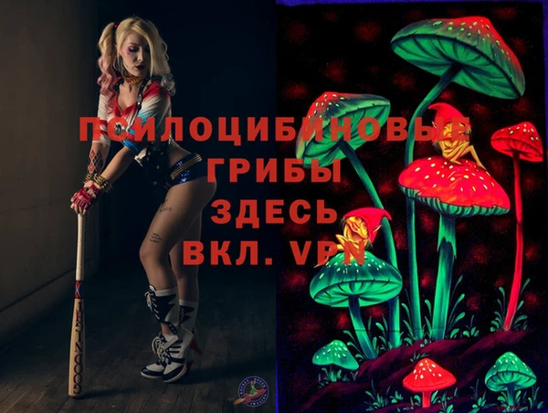 МДПВ Беломорск