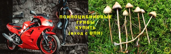 МДПВ Беломорск
